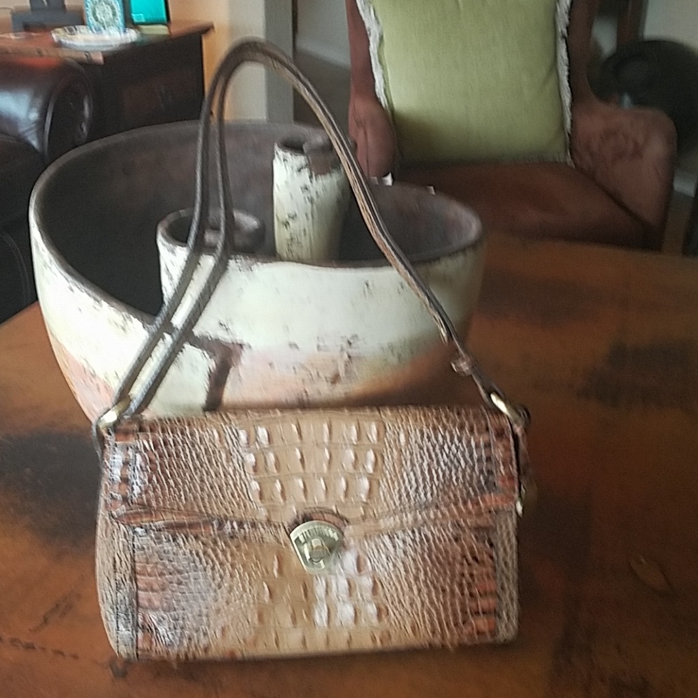Brahmin Purse